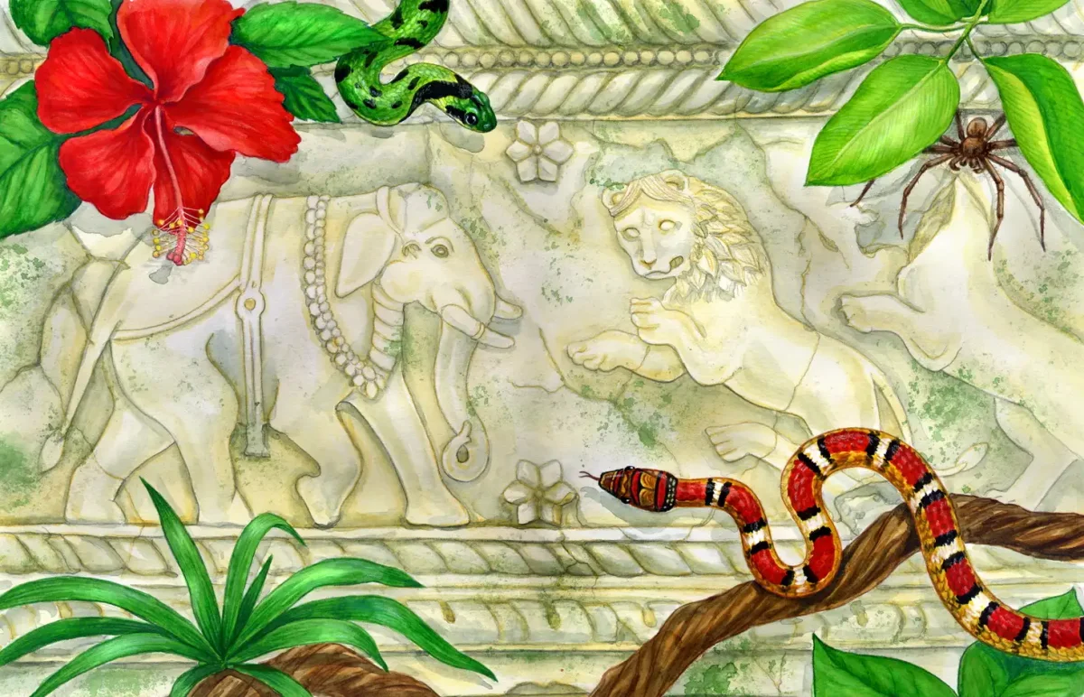 Рики Тики Тави художник