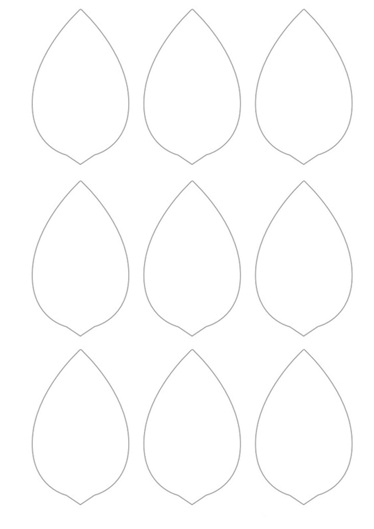 Тюльпан Шренка