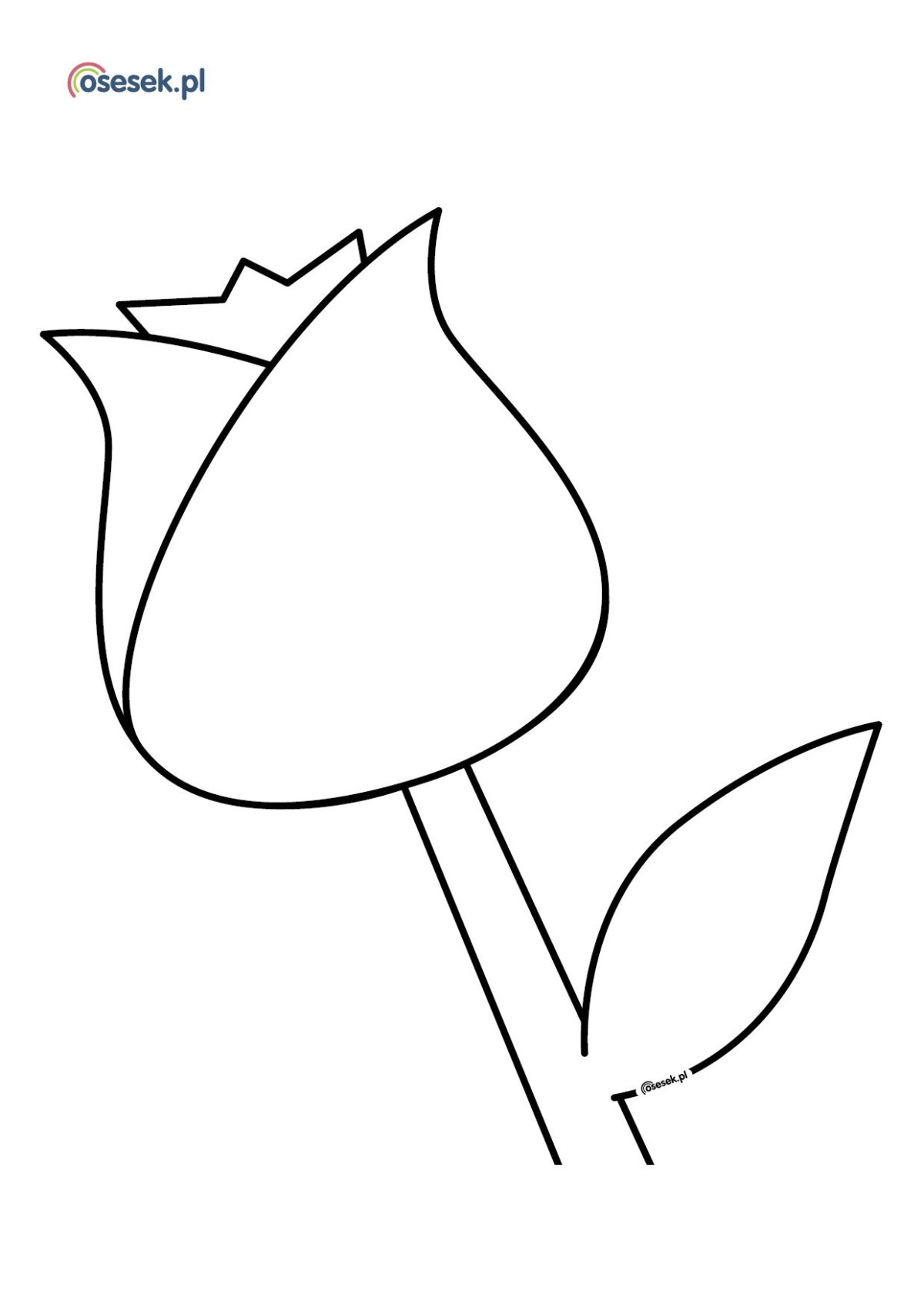 Лекало для цветов из бумаги