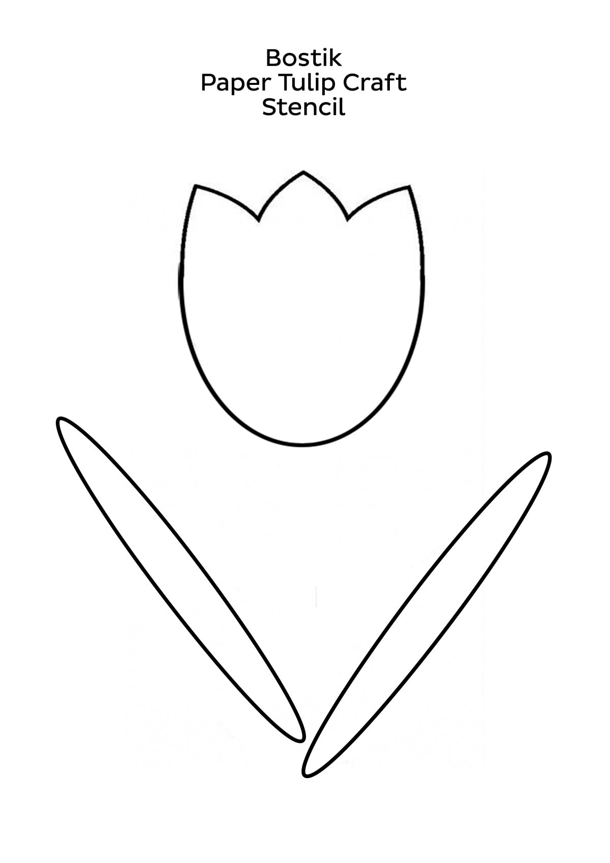 Шаблон тюльпана