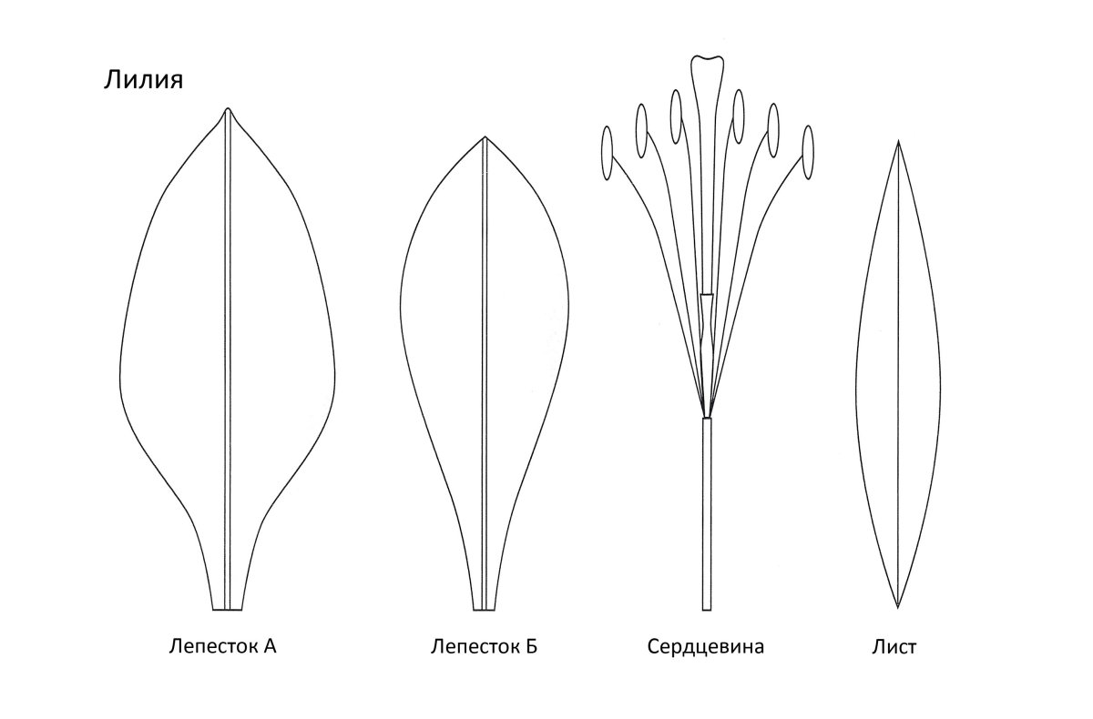 Трафарет листьев цветов