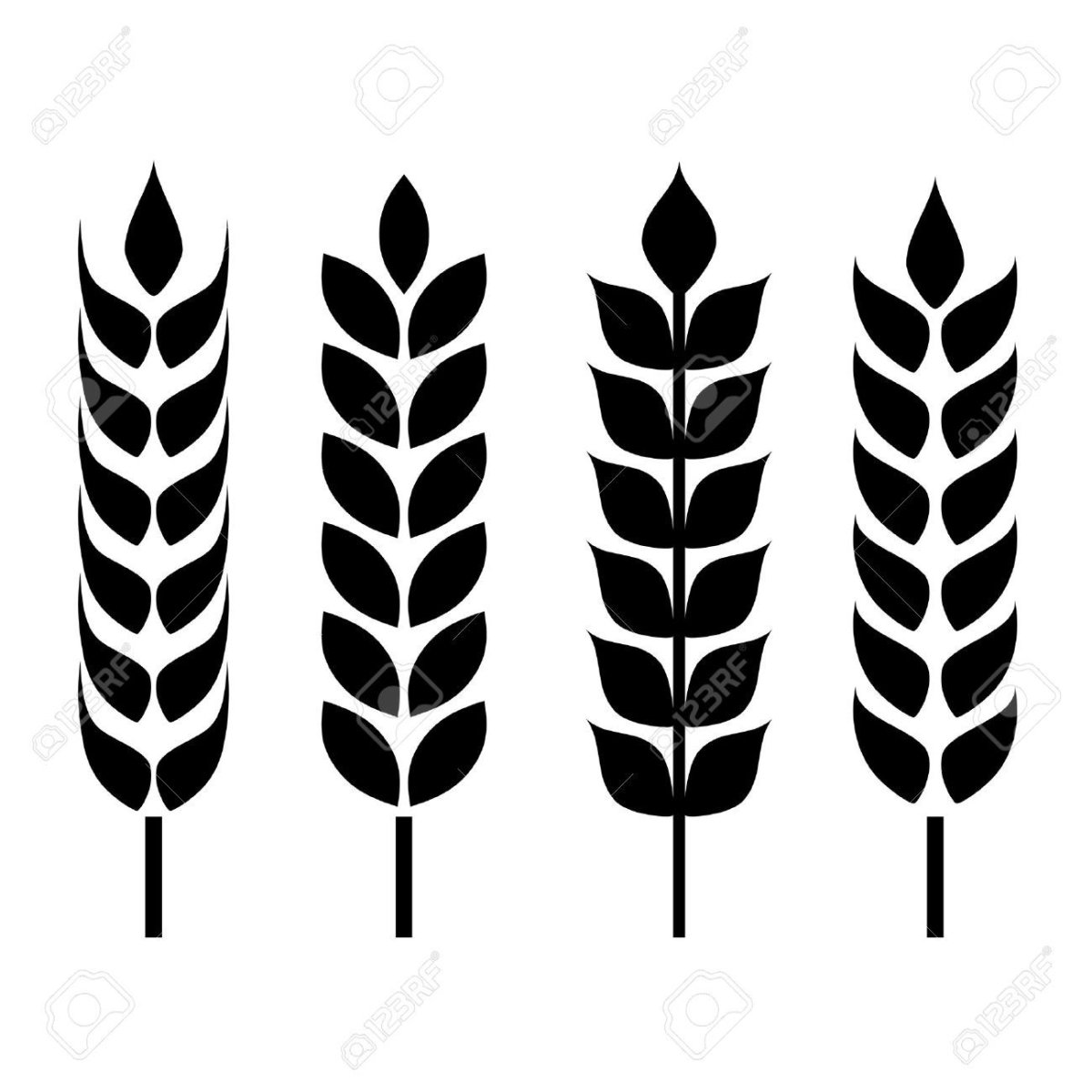 Орнамент колосья