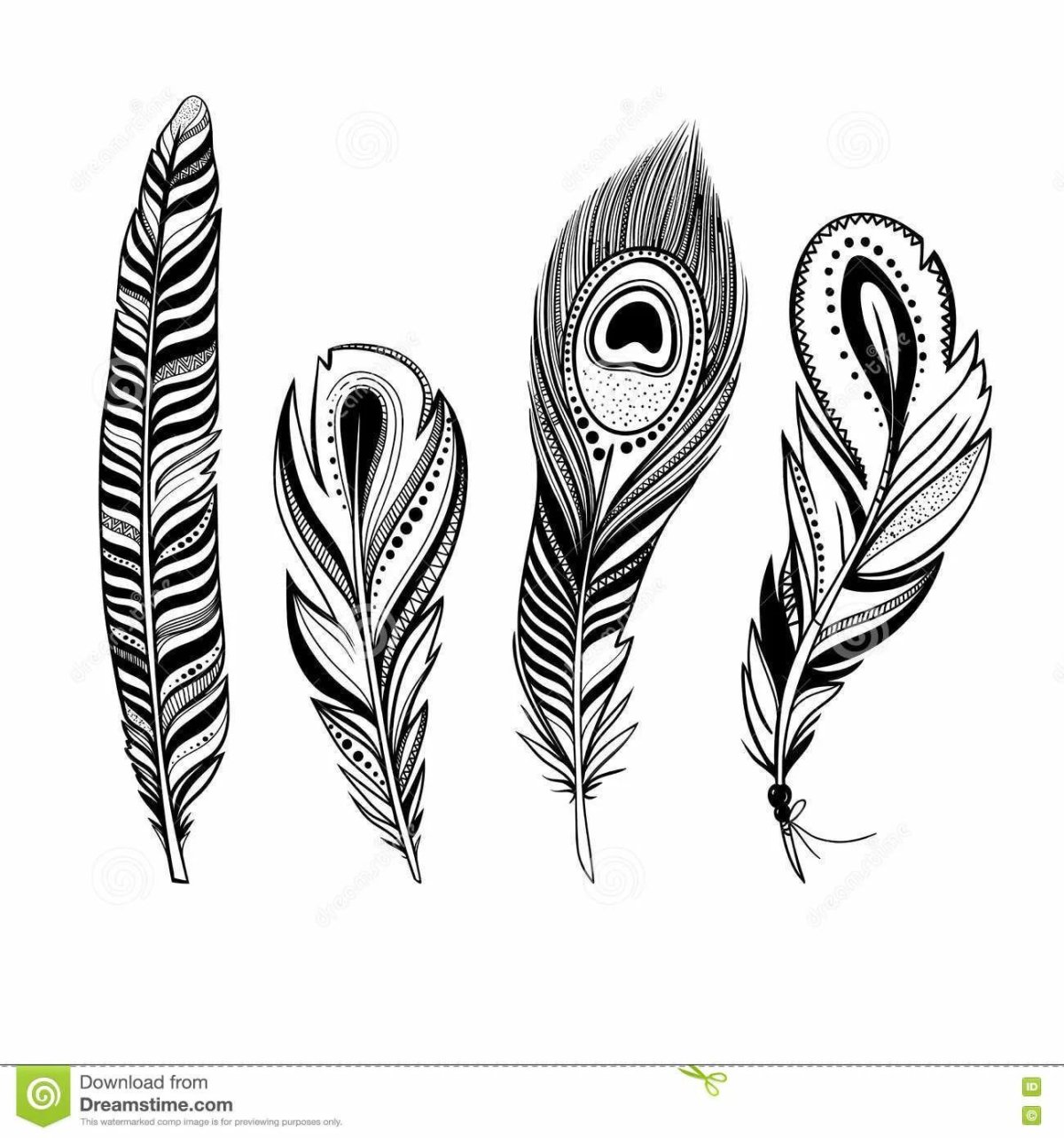 Стилизация перьев птиц