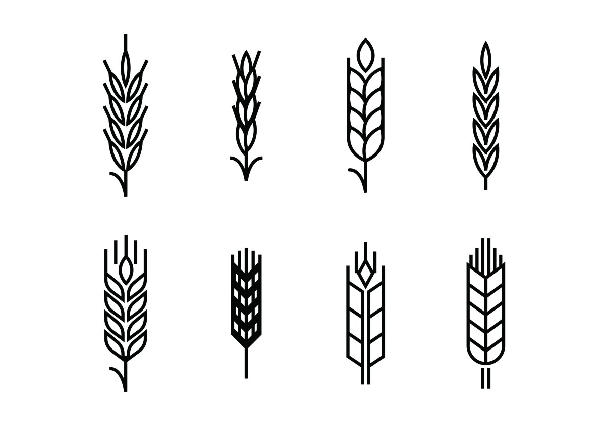 Колосок векторный