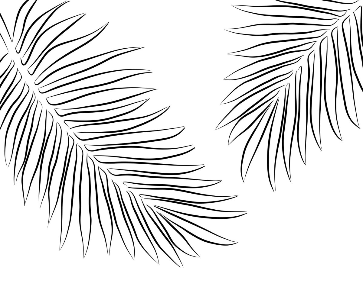 Лист пальмы контур