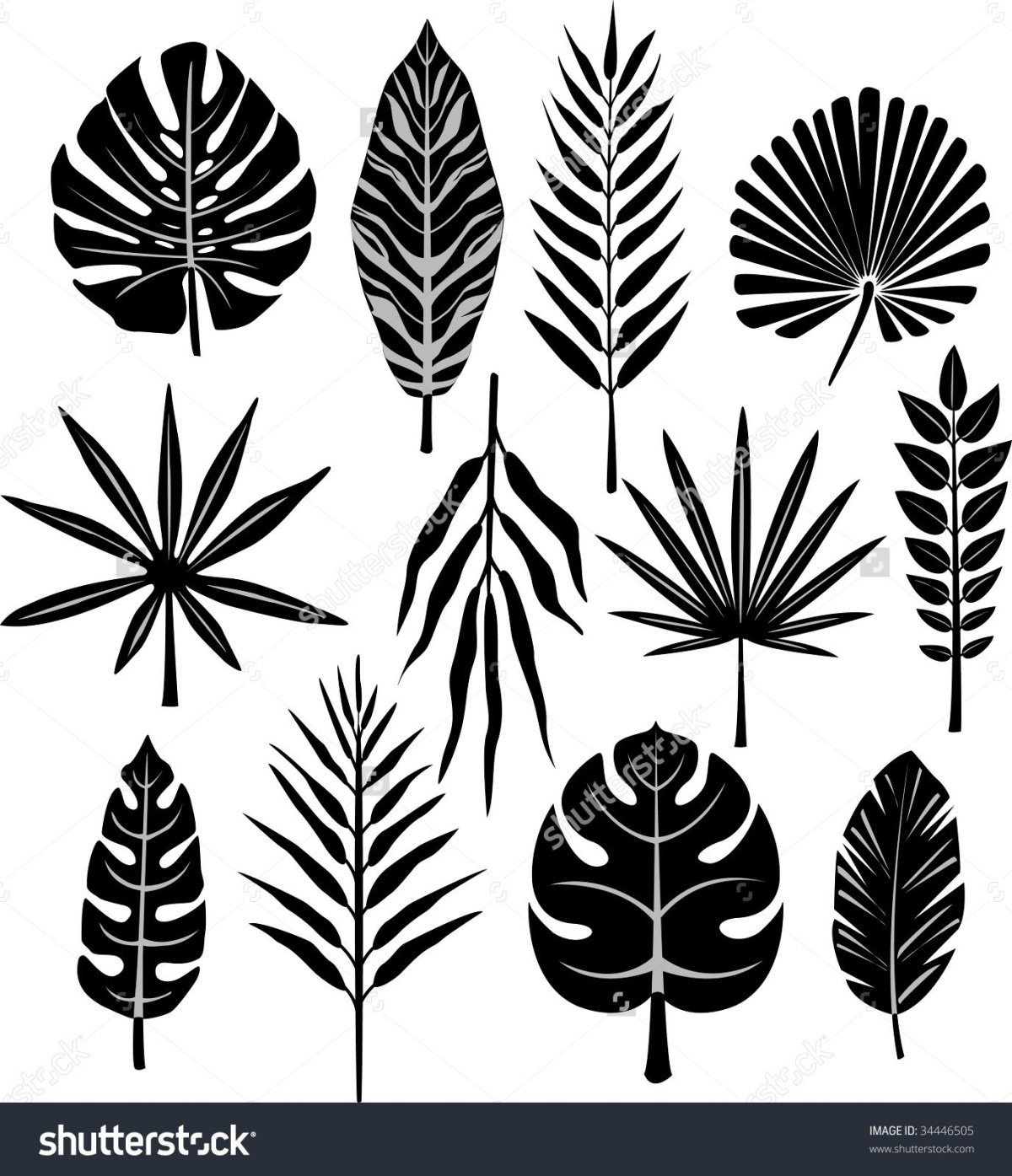 Силуэт экзотических листьев