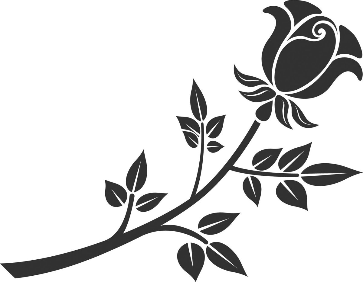 Шаблон для написания письма