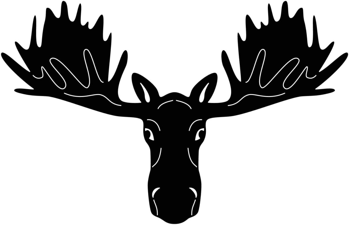 Аппликации на окна