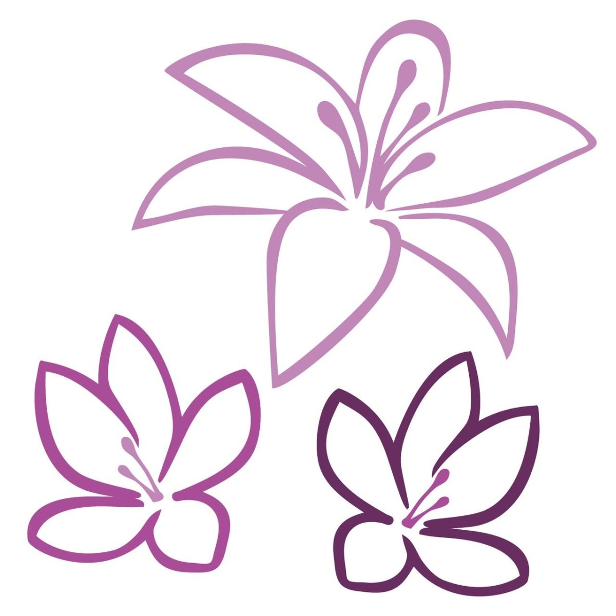 Раскраска колокольчик цветок