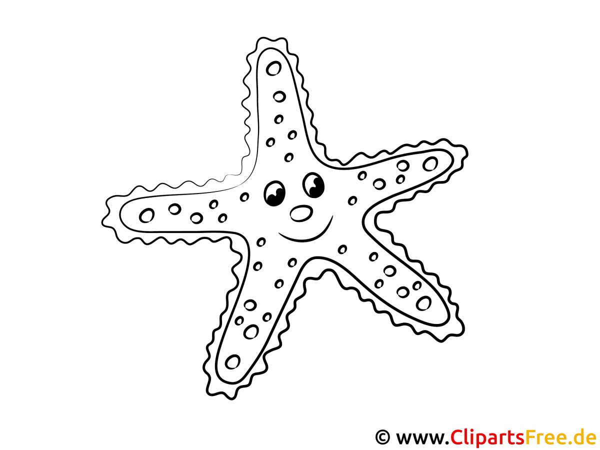 Разукрашка для детей морская звезда