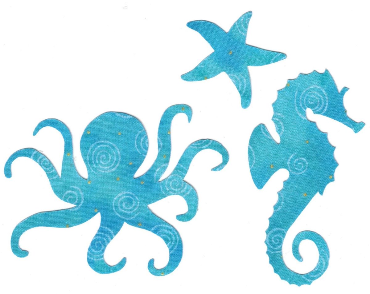 Ракушка раскраска