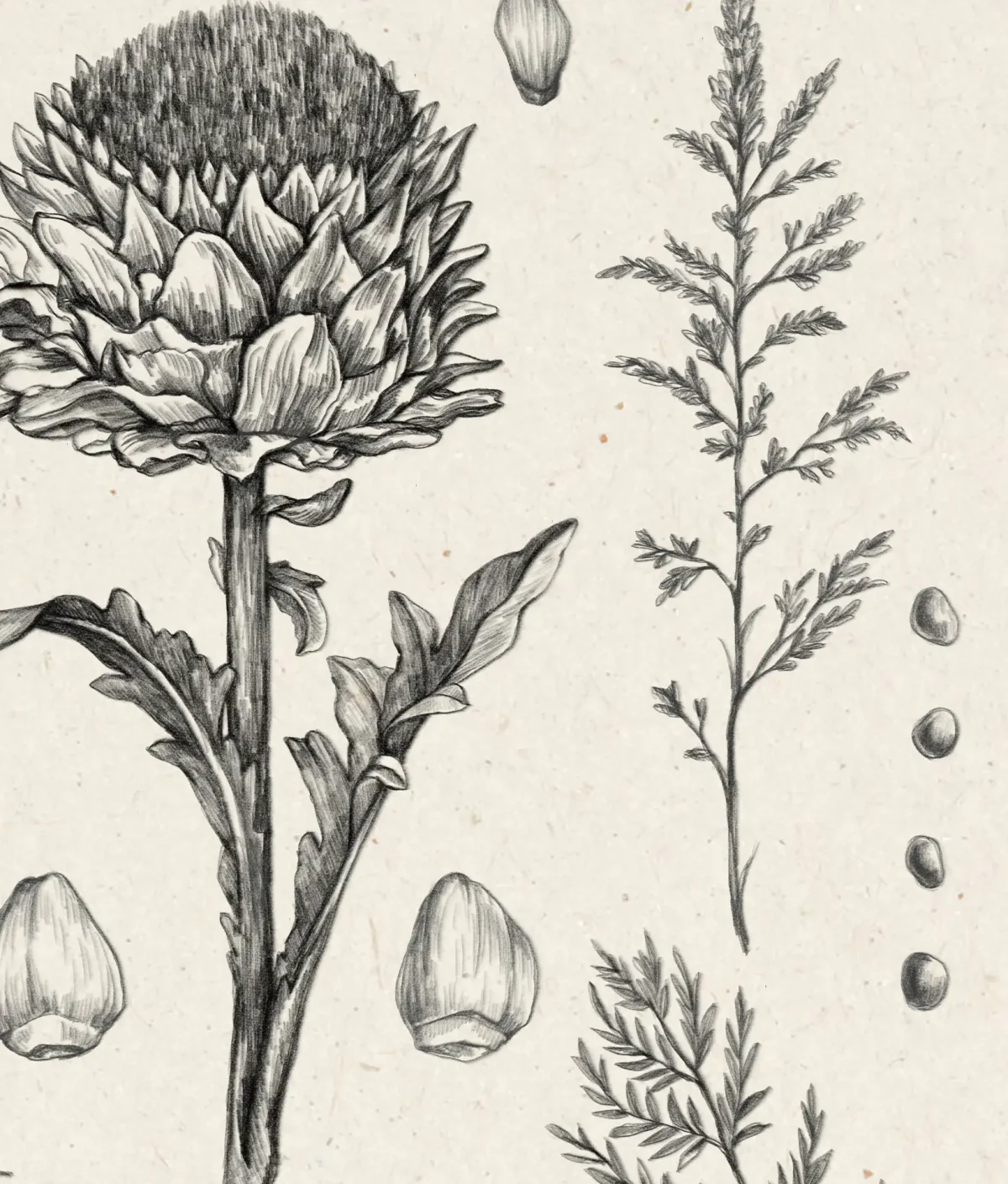 Стилизация растений