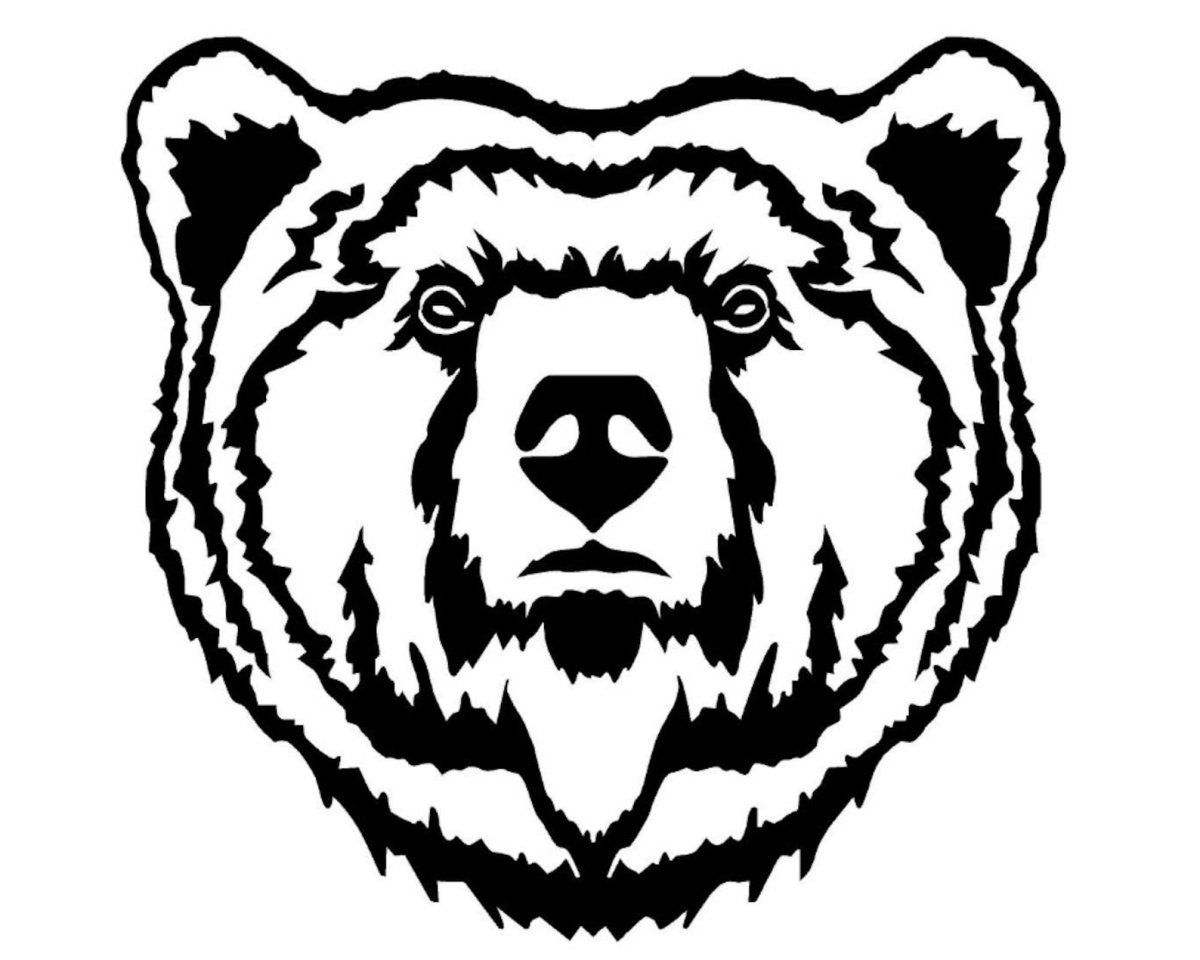 Морда медведя черно белая