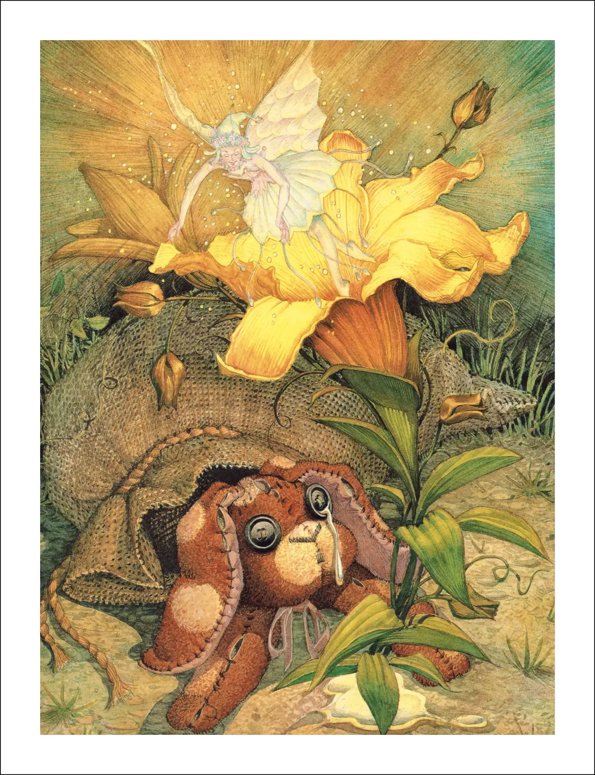 Иллюстратор Дон Дейли