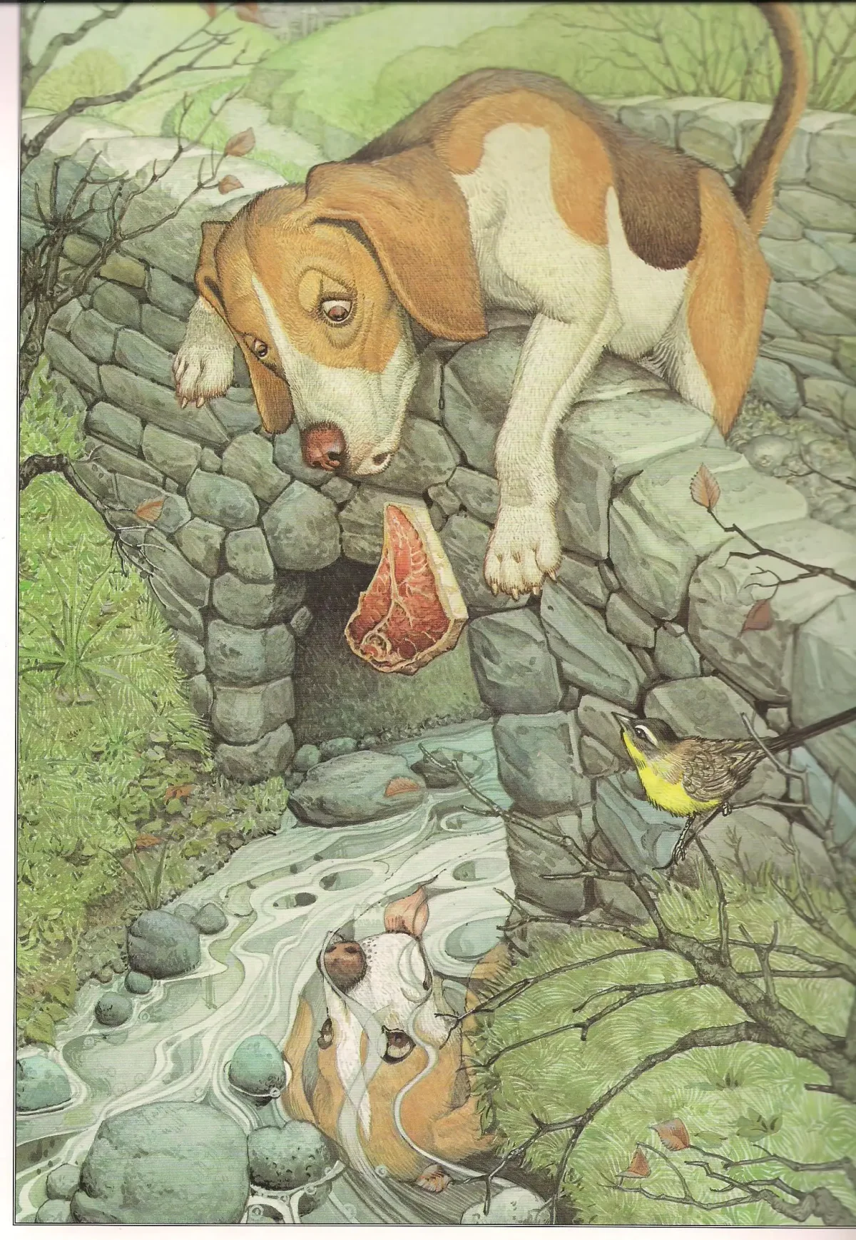 Иллюстратор Беатрис Поттер