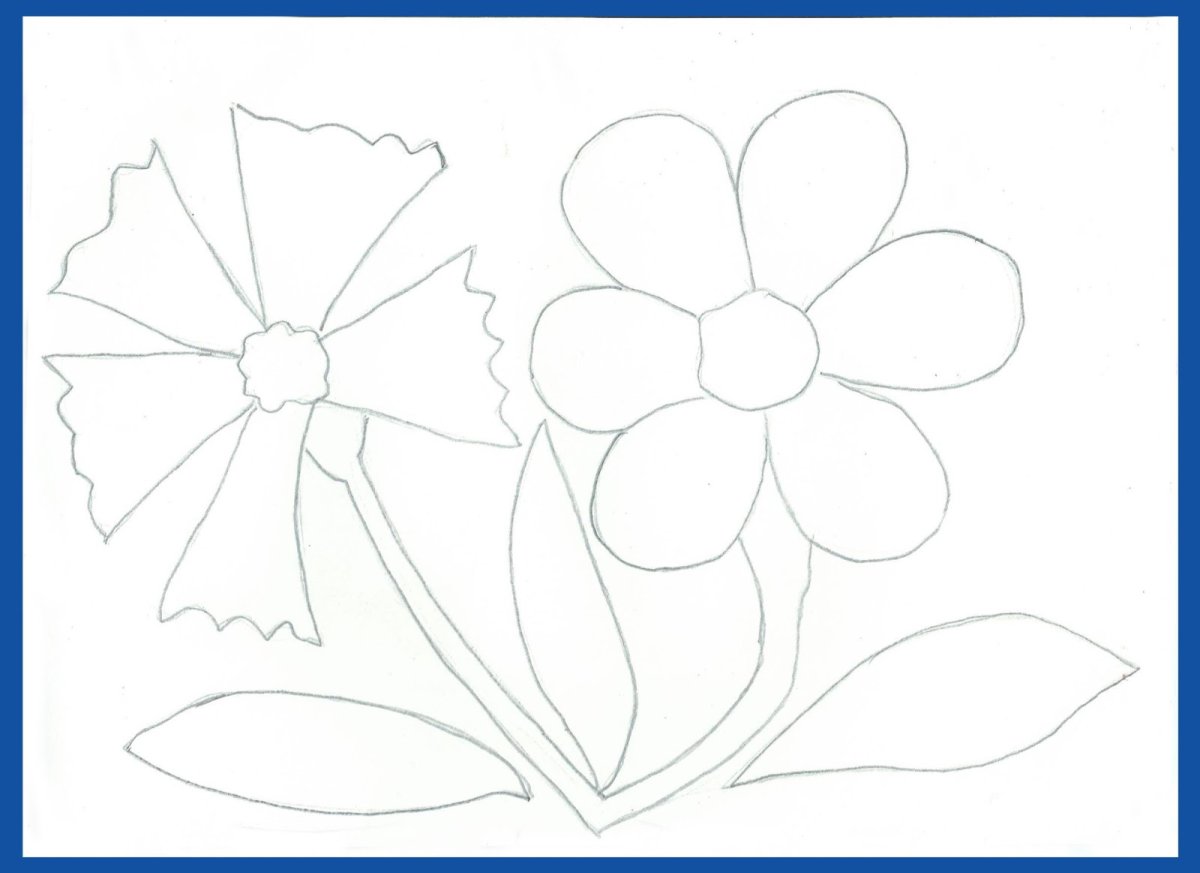 Трафарет бабочка для пластилинографии