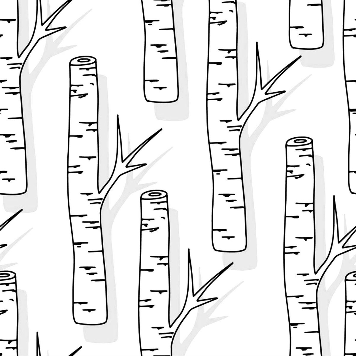 Береза на прозрачном фоне черно-белая