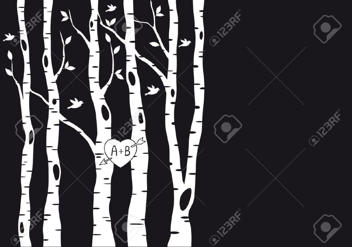 Ствол березы для аппликации