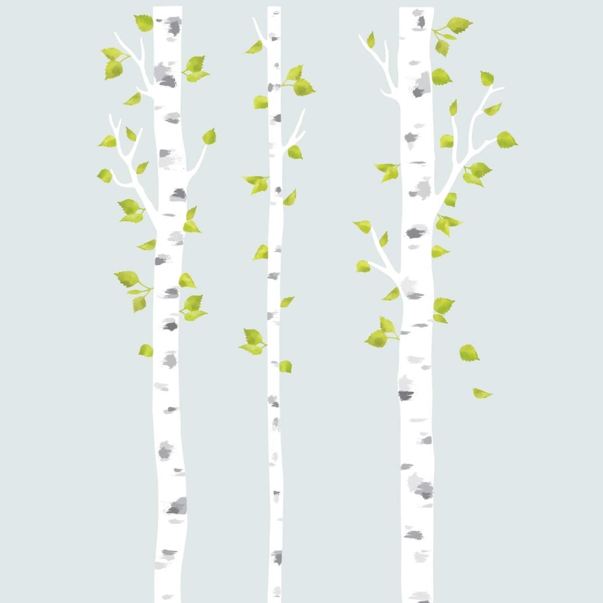 Береза без листьев