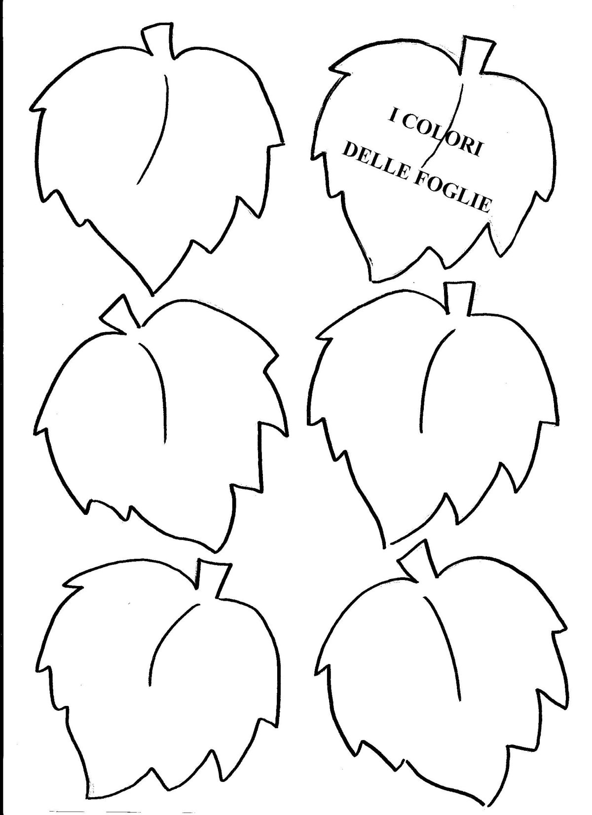 Листья шаблон