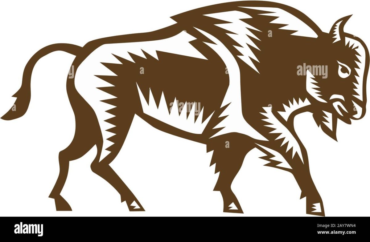 Бизон гравировка