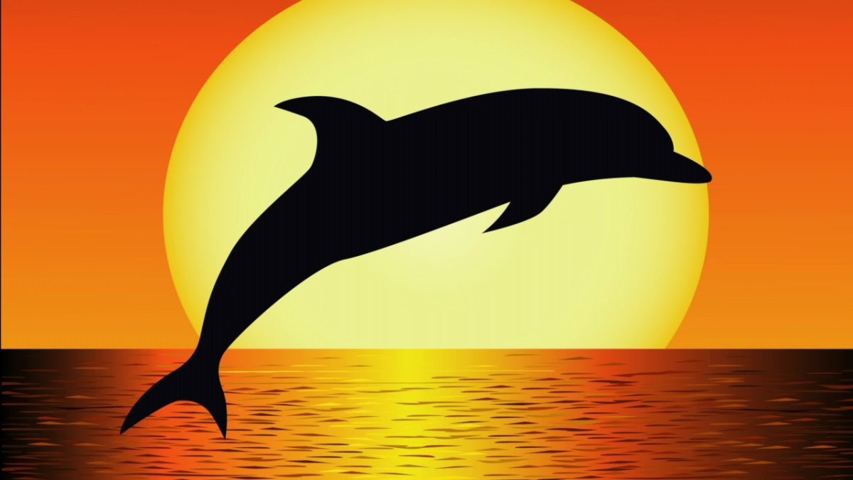 Рисунок дельфина в море на закате