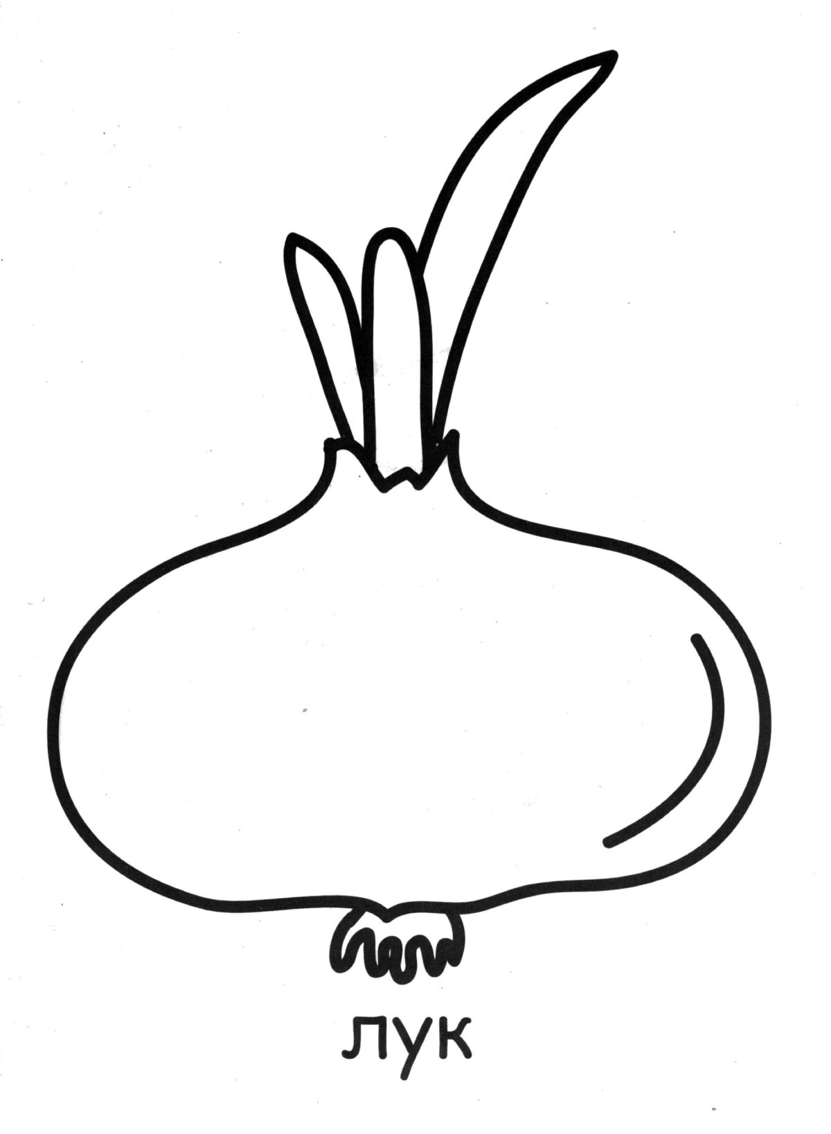 Редиска из чополинораскраска для детей