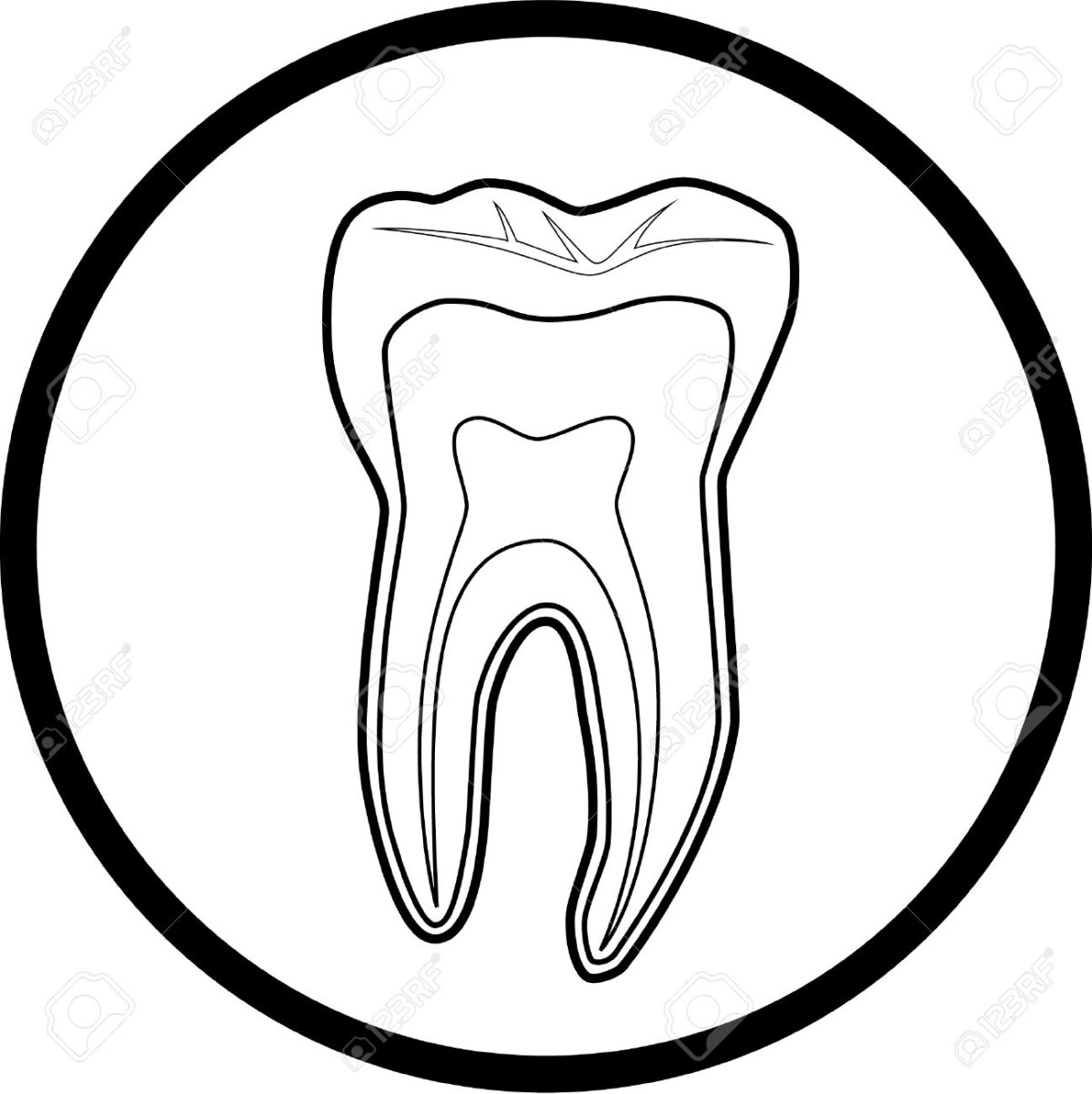 Зуб вектор чб