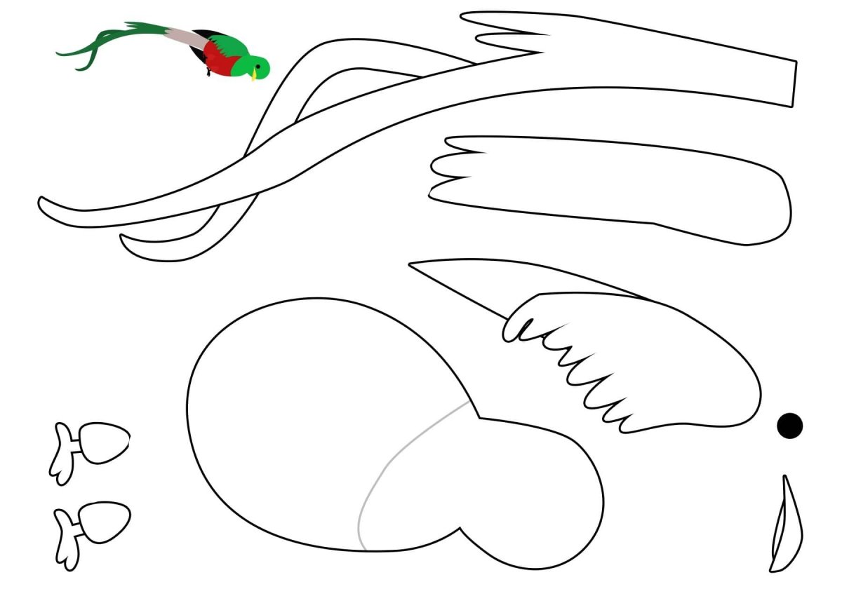 Аппликация птица из бумаги шаблоны