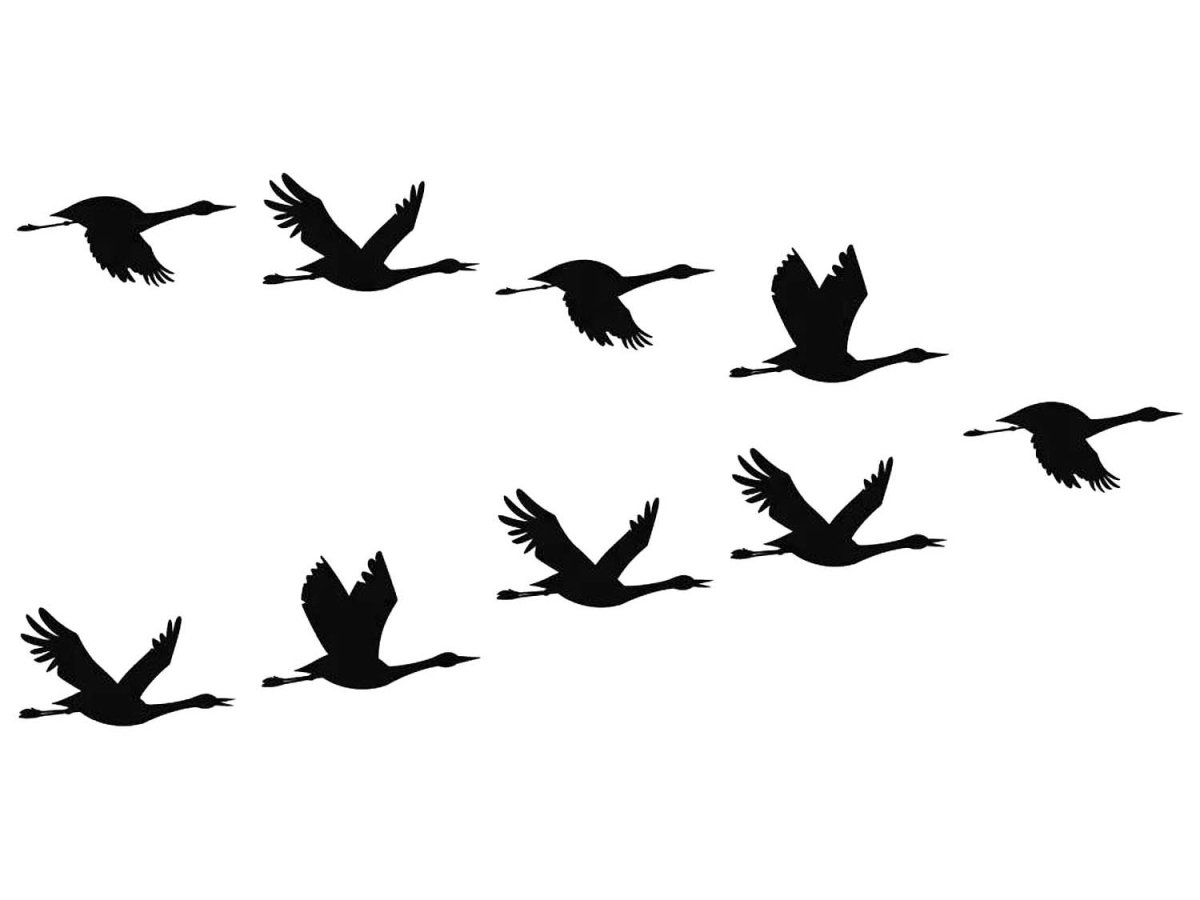 Журавлиный Клин силуэт