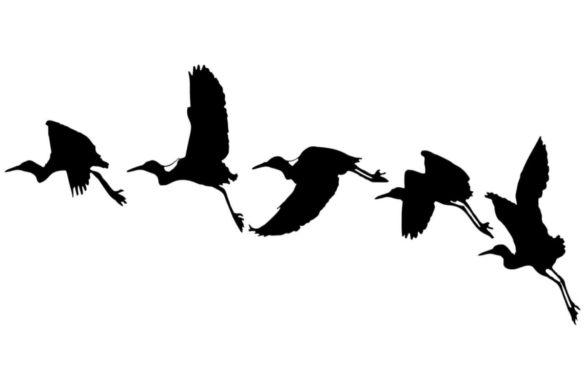Силуэт журавля в полете