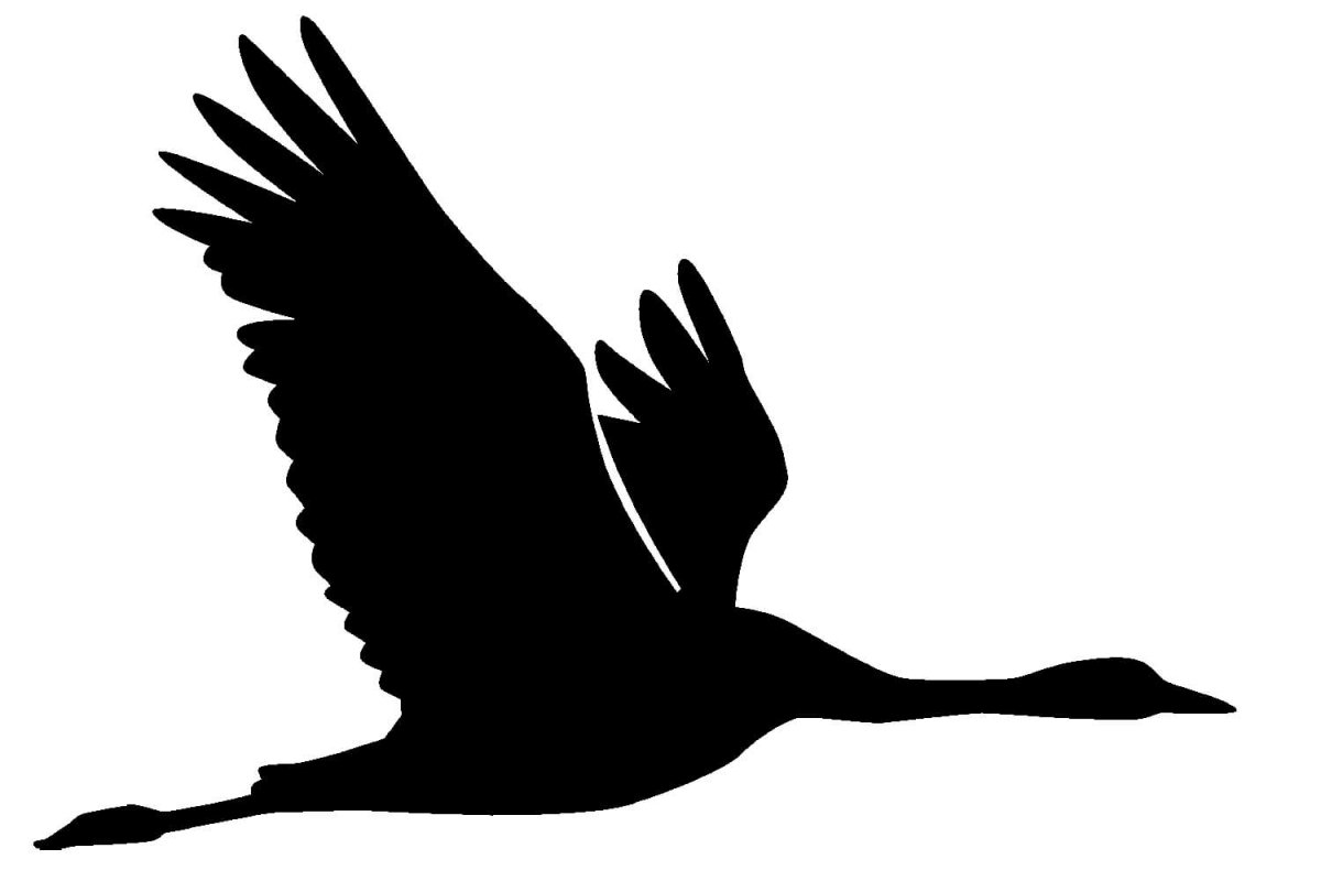 Силуэт журавля в полете