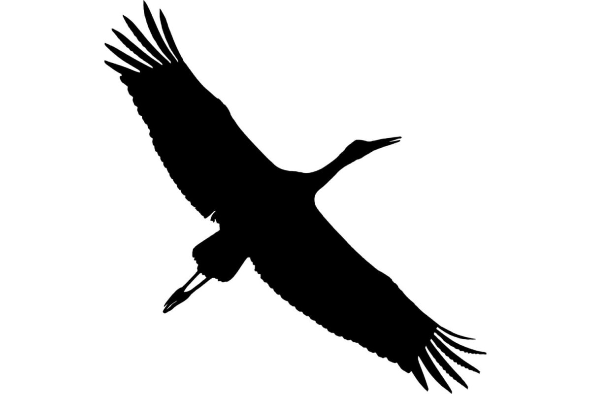 Журавль силуэт