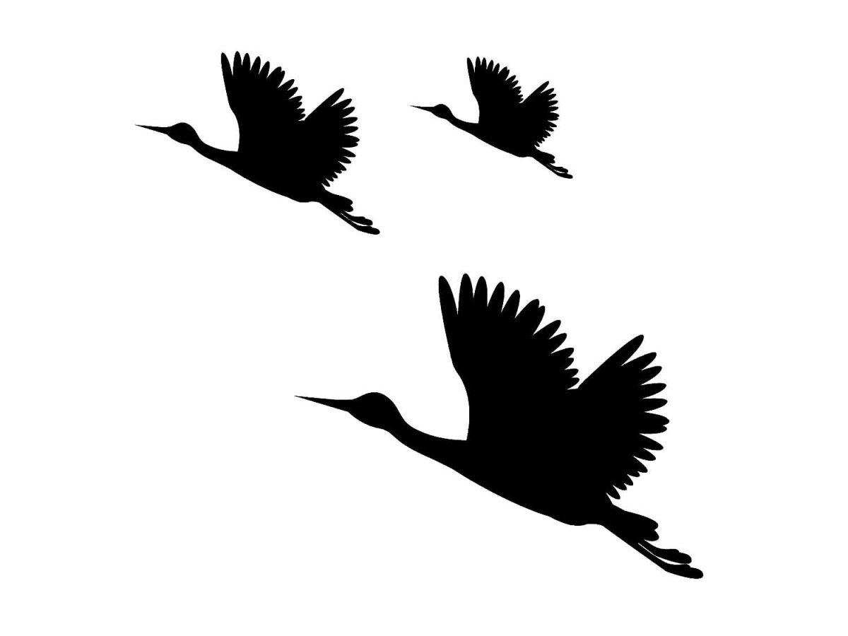 Силуэт птицы в полете