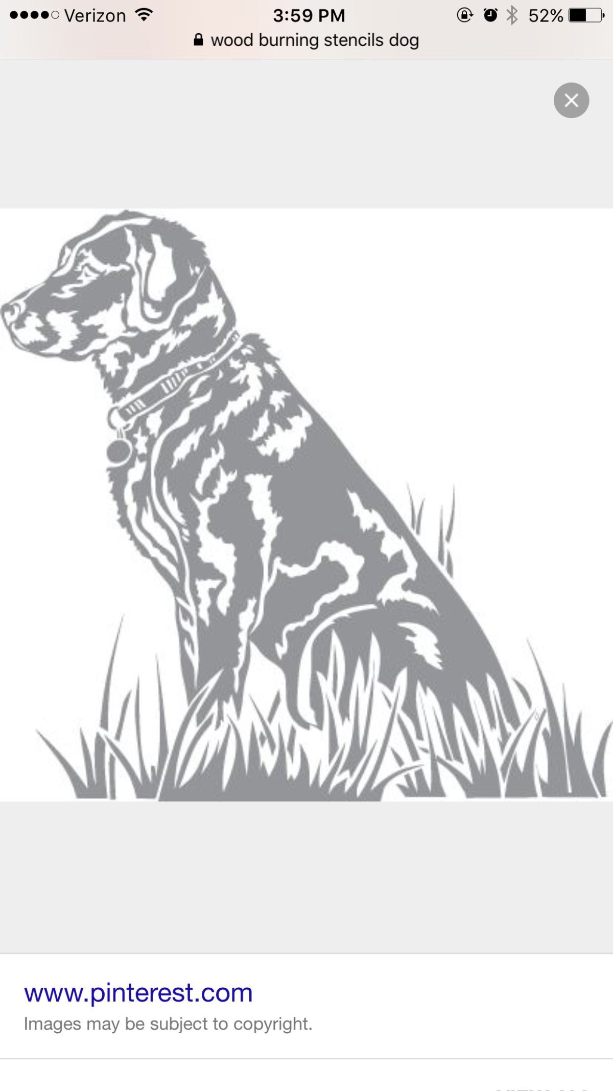 Трафареты для выжигания лабрадор