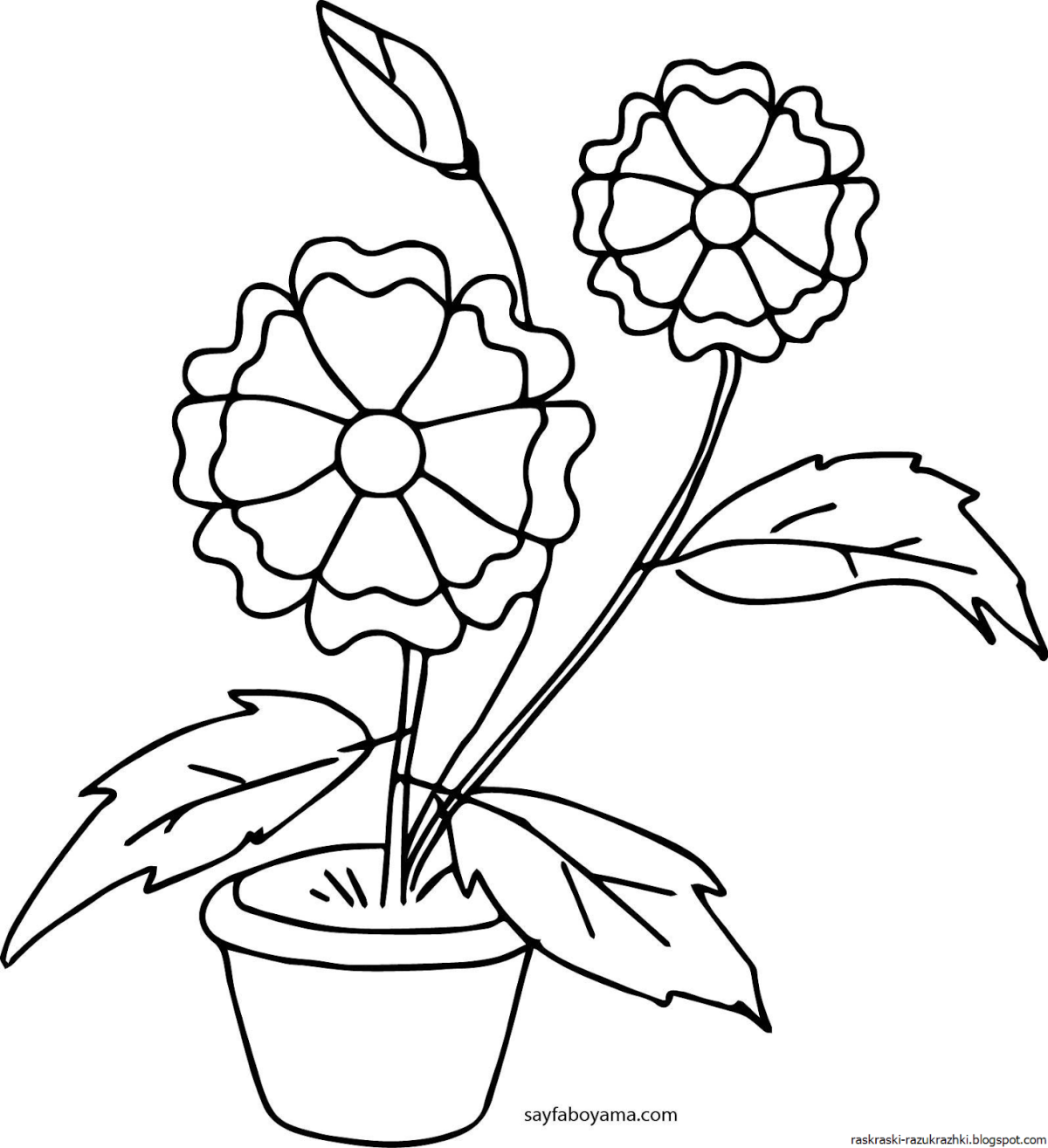 Ромашка раскраска для детей