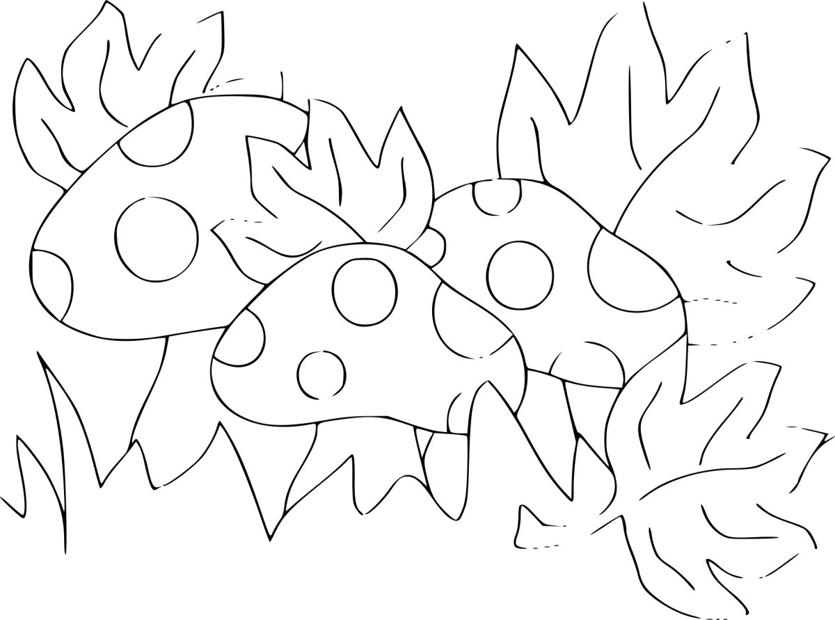 Красный желтый зеленый картинки для детей