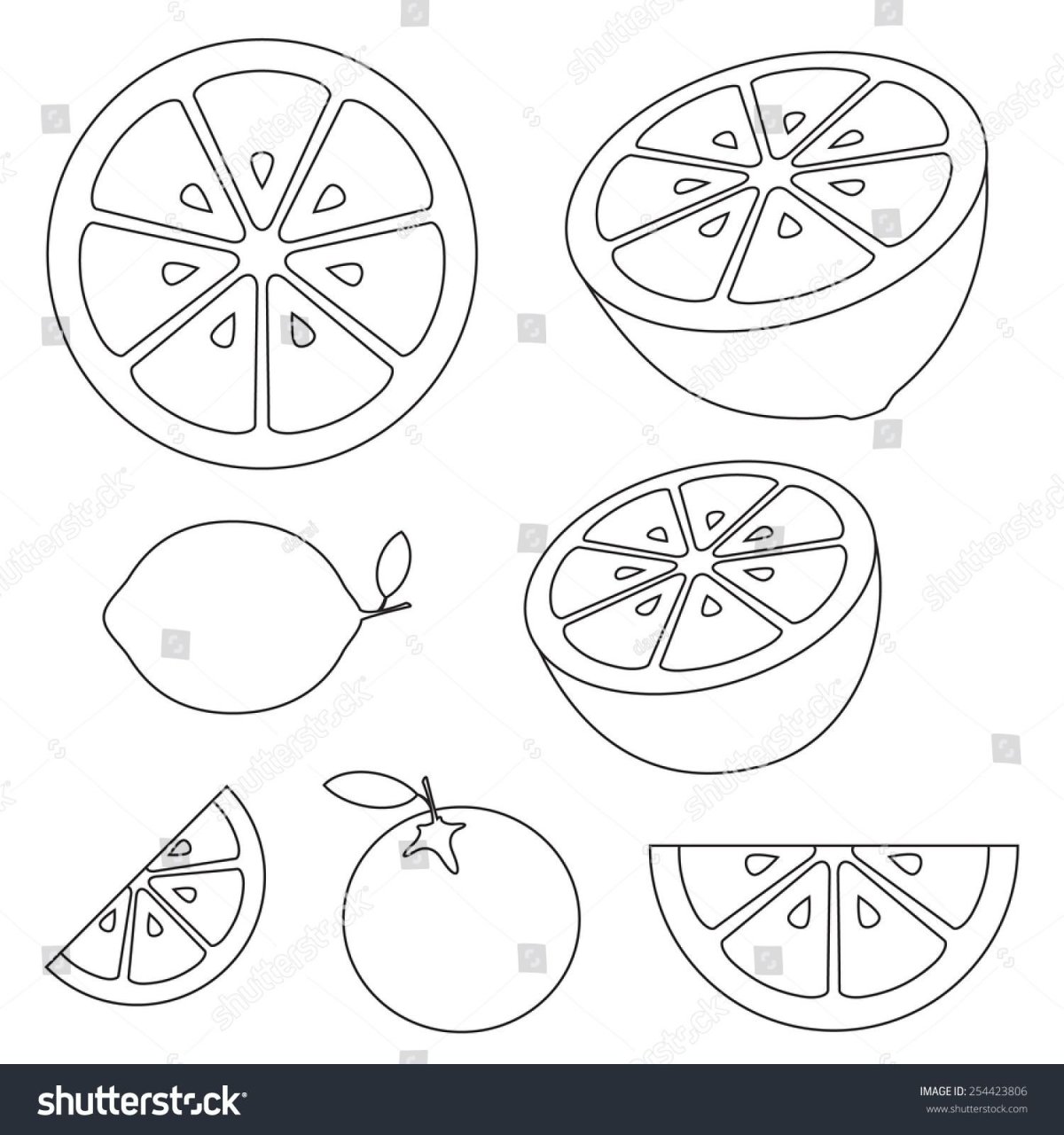 Трафарет апельсин в разрезе