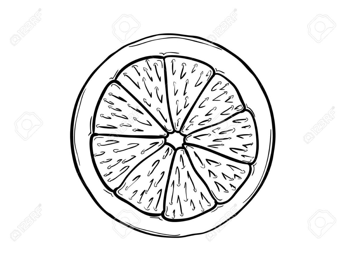 Долька лимона раскраска