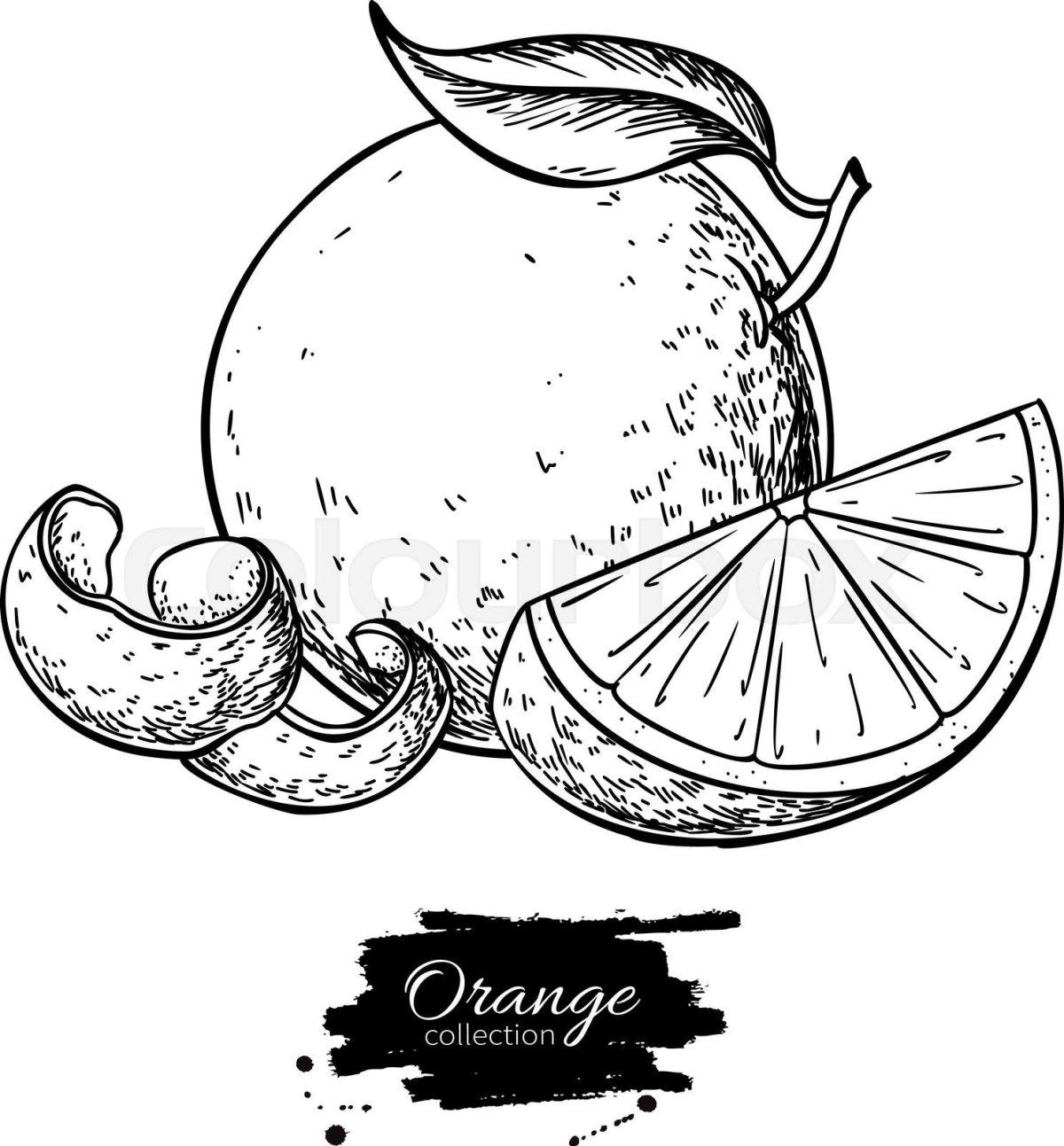Апельсин иллюстрация черно белая