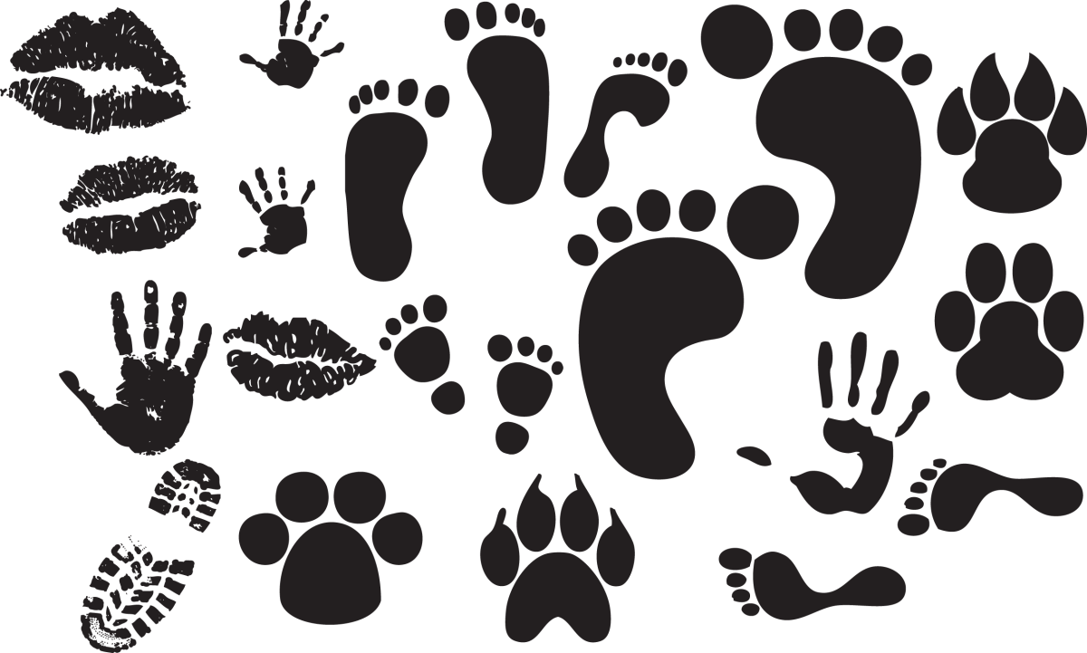 Трафарет "следы"