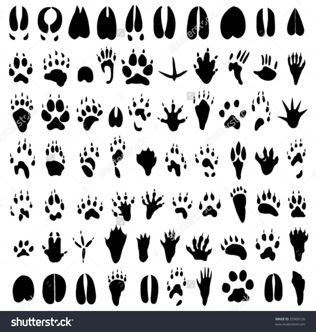 Следы животных силуэт