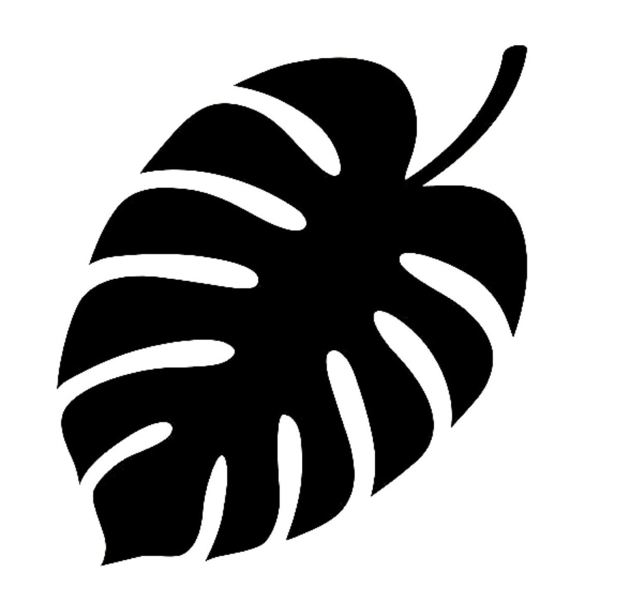 Лист монстеры вектор контур