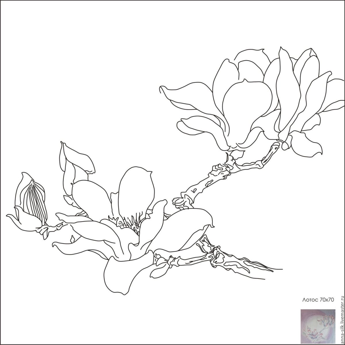 Ветка магнолии эскиз