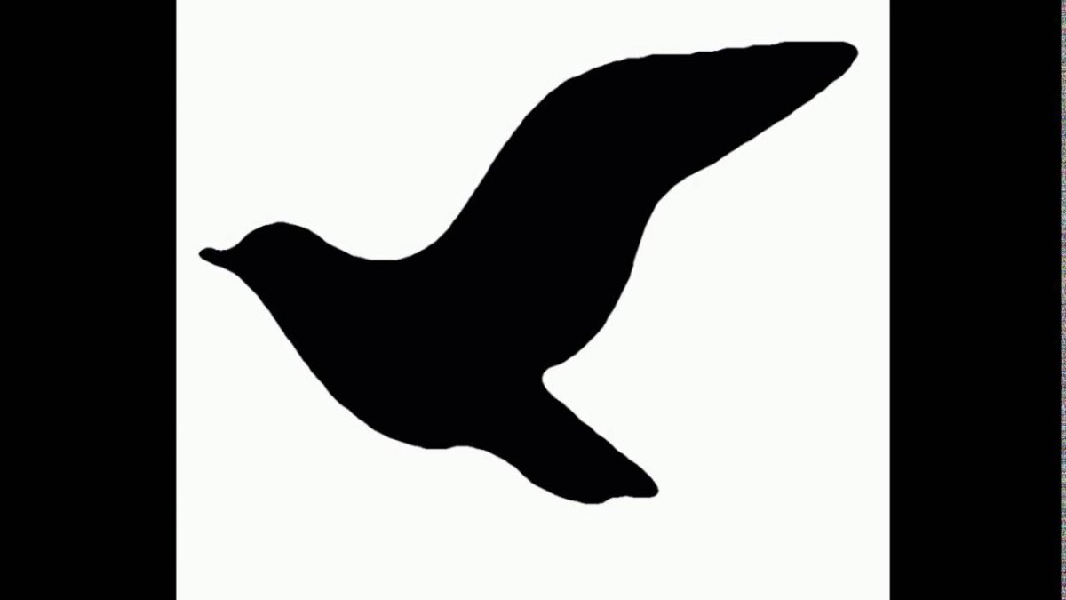 Птица контур