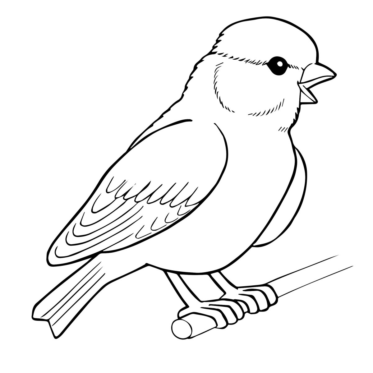 Трафареты птиц для выжигания по дереву