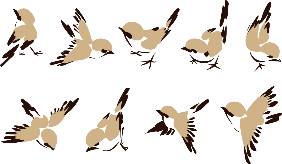 Теневые силуэты Воробей