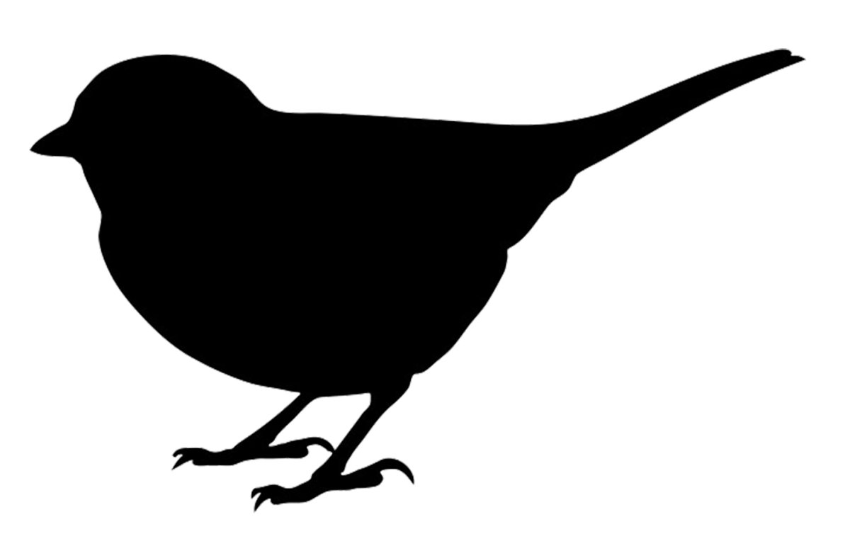 Тату Воробей эскиз