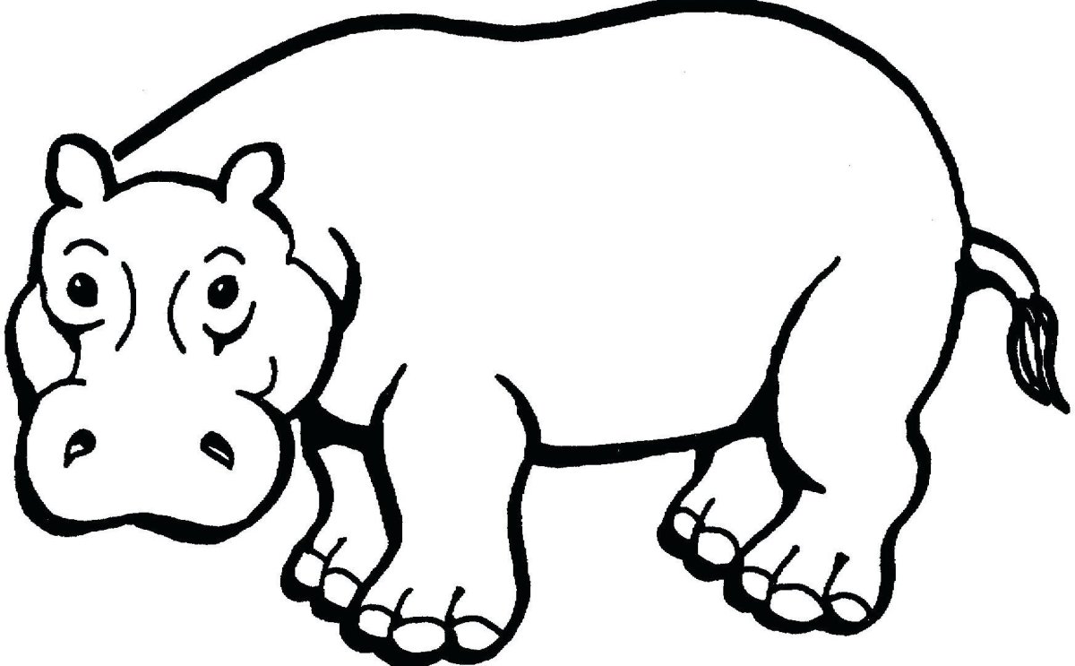 Черно-белые для детей Бегемот