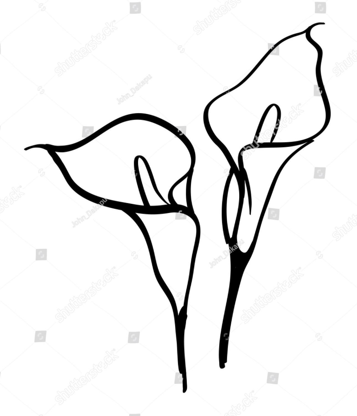 Калла силуэт